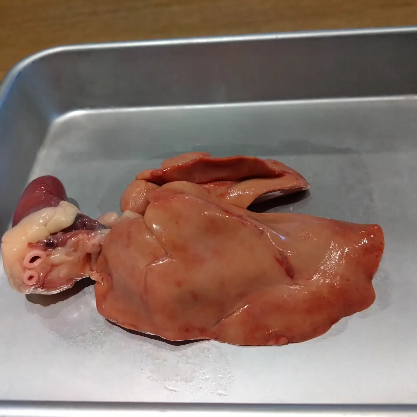 まるでフォアグラ✨