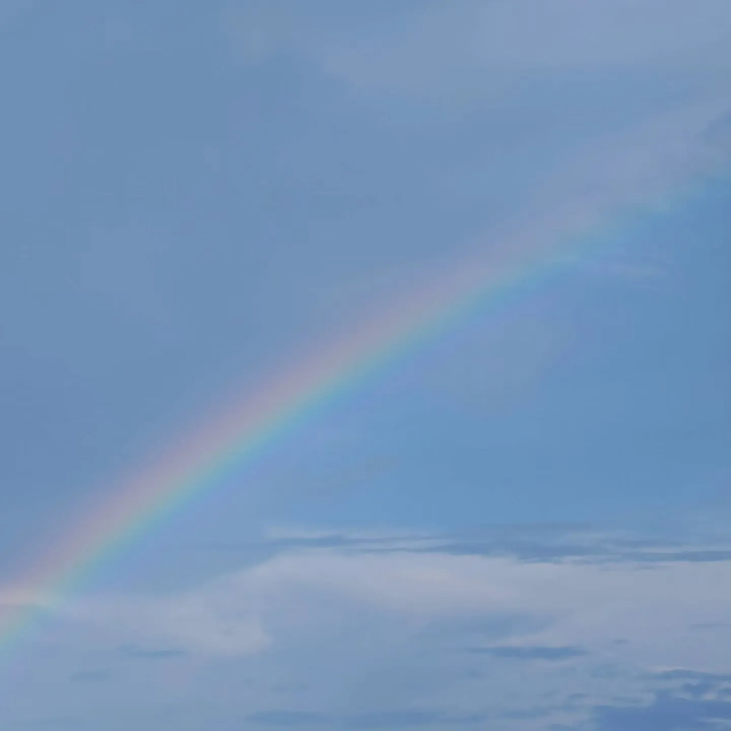 綺麗な虹を見ました!✨