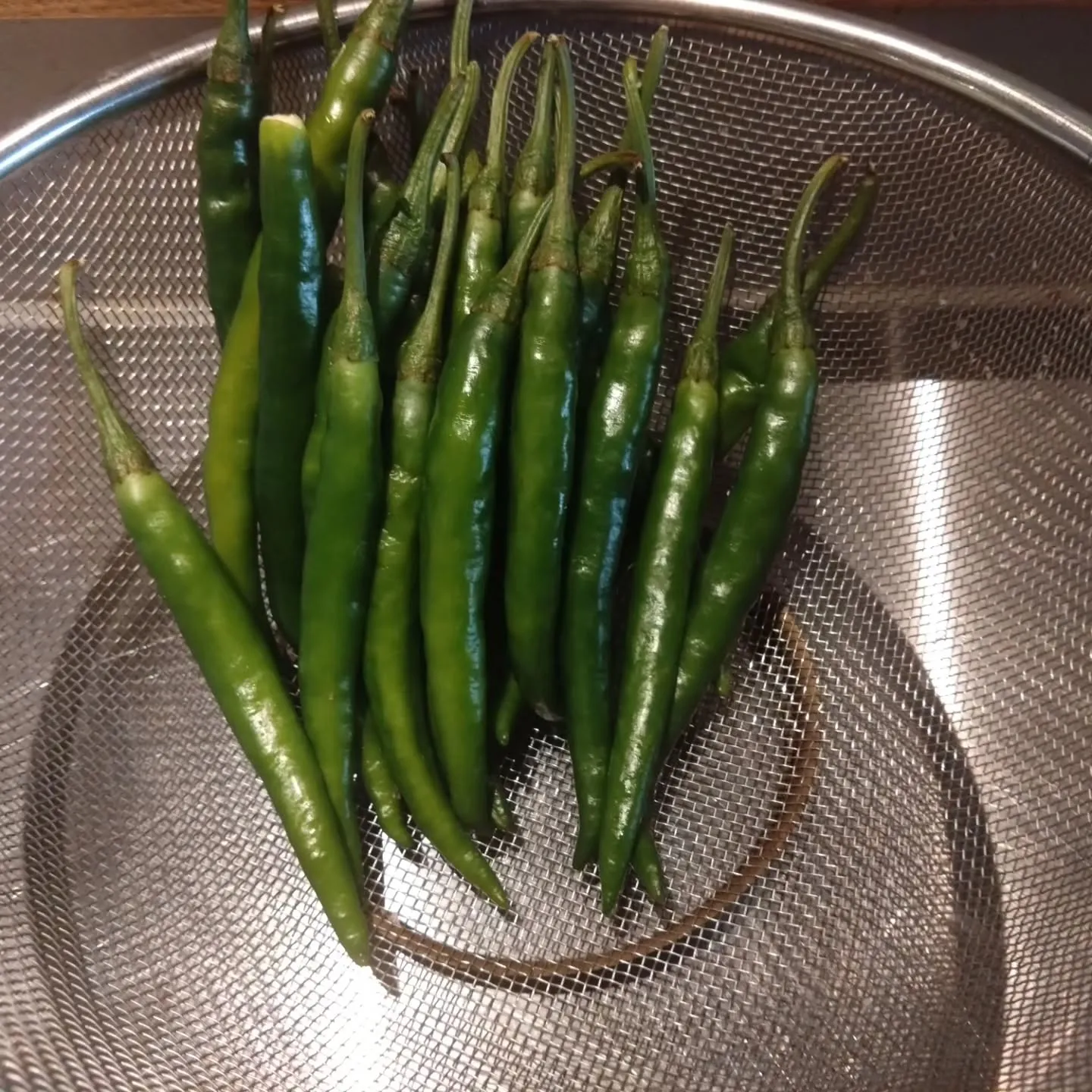 今年も自家製ゆず胡椒✨